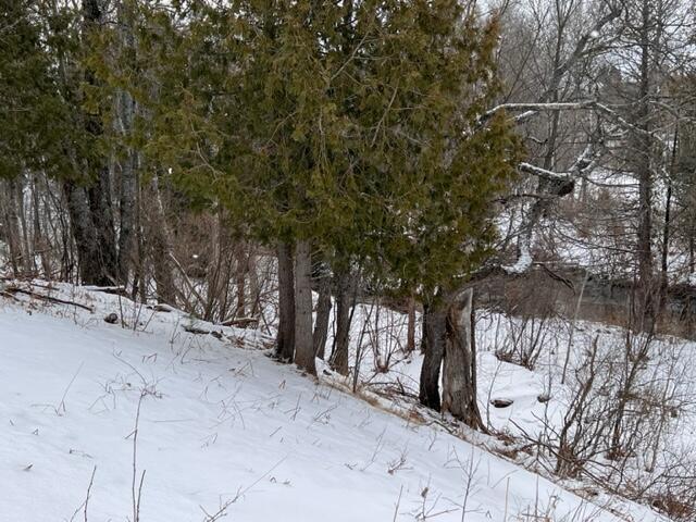 Listing Photo for 685 White Pine Drive LOT 22