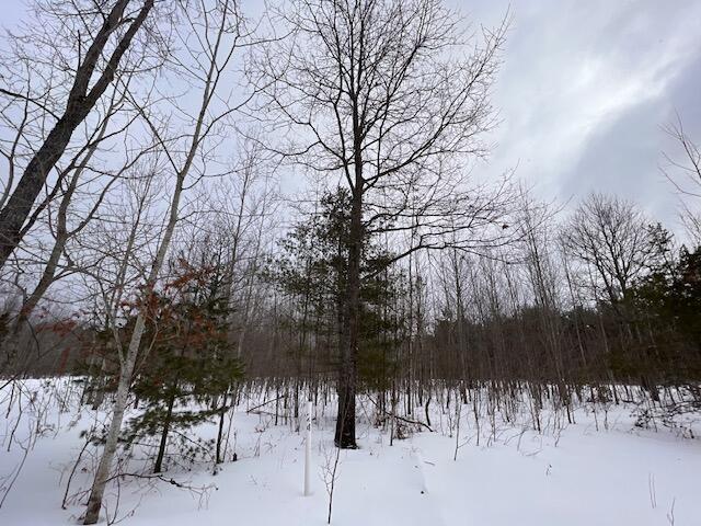 Listing Photo for 697 White Pine Drive LOT 23