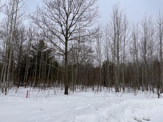 Listing Photo for 709 White Pine Drive LOT 108