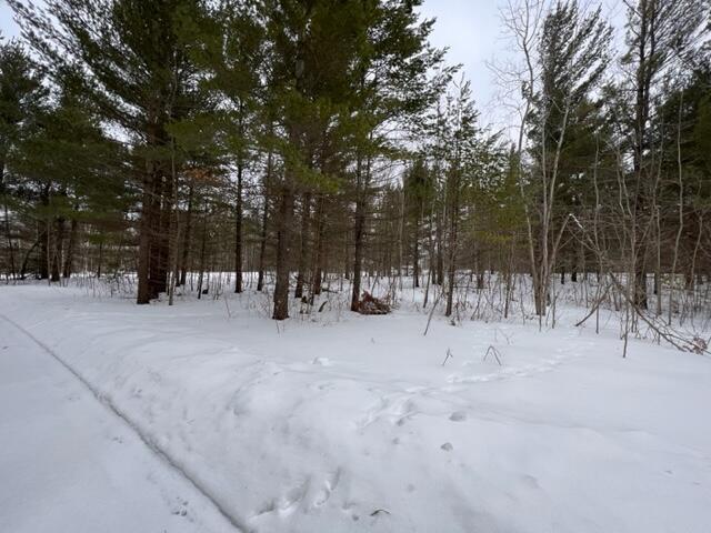 Listing Photo for 721 White Pine Drive LOT 109