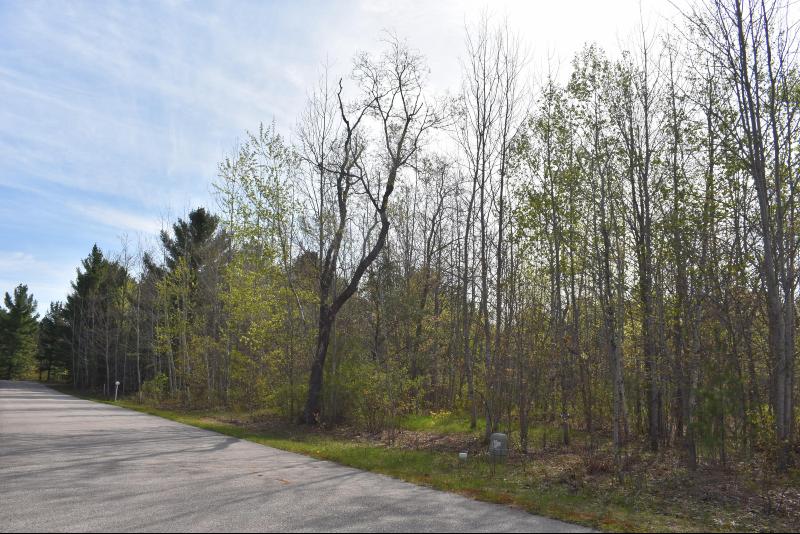 Listing Photo for 738 White Pine Drive LOT 25