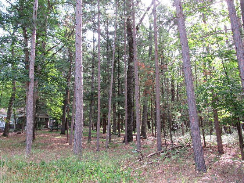 Listing Photo for Gladwin Road LOTS 27 & 28