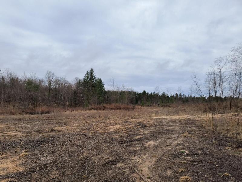 Listing Photo for M-33 48 ACRES
