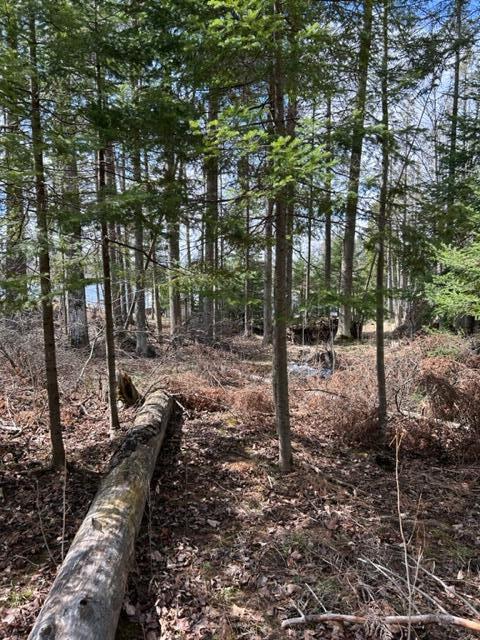 Listing Photo for 15488 Lakeview Drive LOT 214