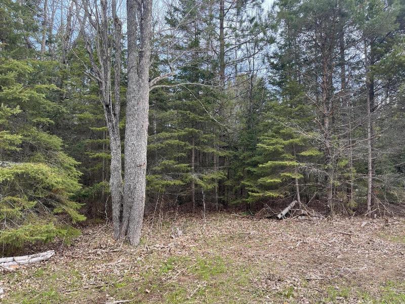 Listing Photo for 3.6 ACRES Us-2
