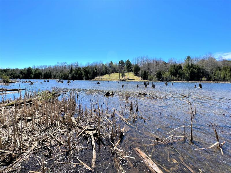 Listing Photo for OFF River Edge Drive PARCEL #9