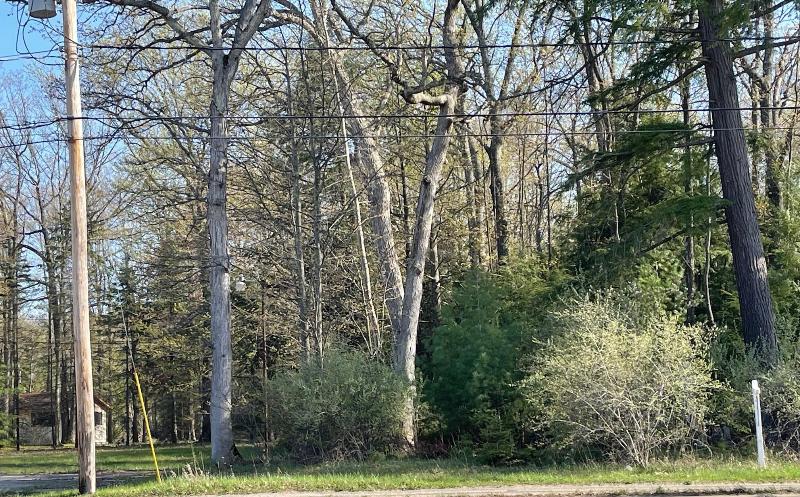 Listing Photo for W Houghton Lake Drive LOT 6