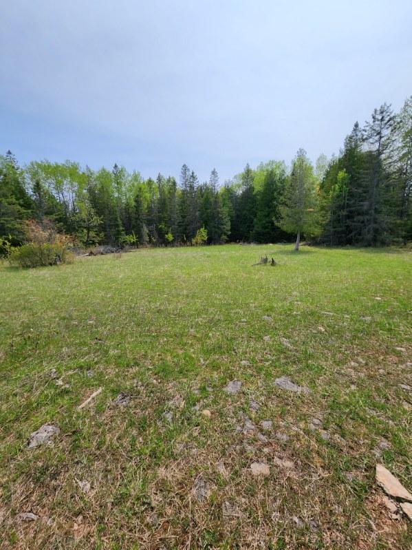 Listing Photo for 11253 Clinton Creek Road 335.9