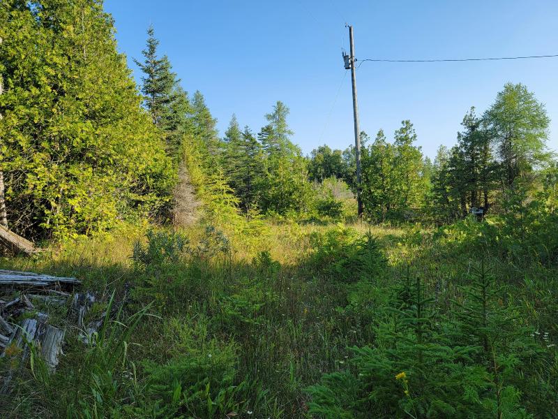 Listing Photo for W Us 2 Highway 9.31 ACRES