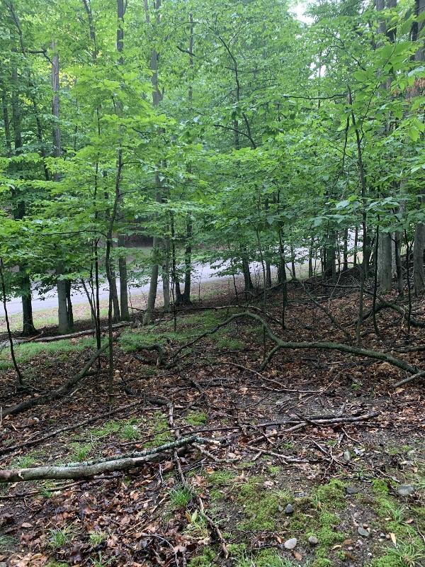 Listing Photo for LOT 115 Doe Path Place