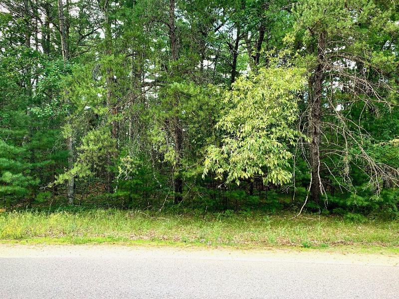 Listing Photo for LOT 21 W Nestel Road