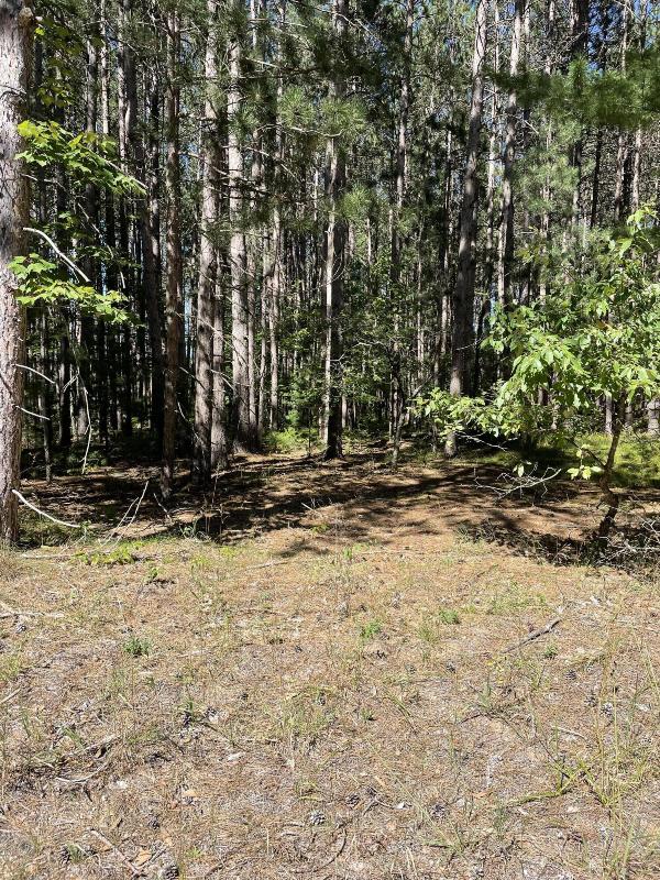 Listing Photo for 1073 Vl Michaywe Drive LOT #1073