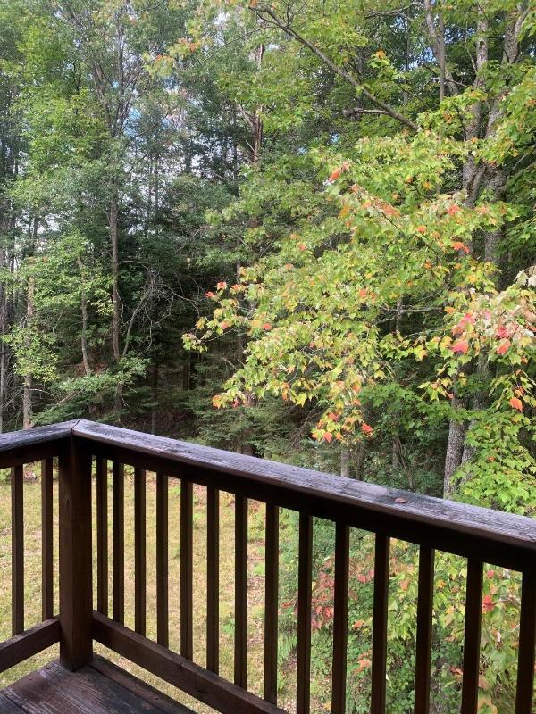 Listing Photo for 1020 Rosemarie Trail