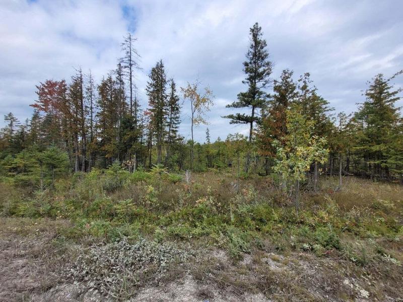 Listing Photo for M-68 Highway PARCEL14, 15