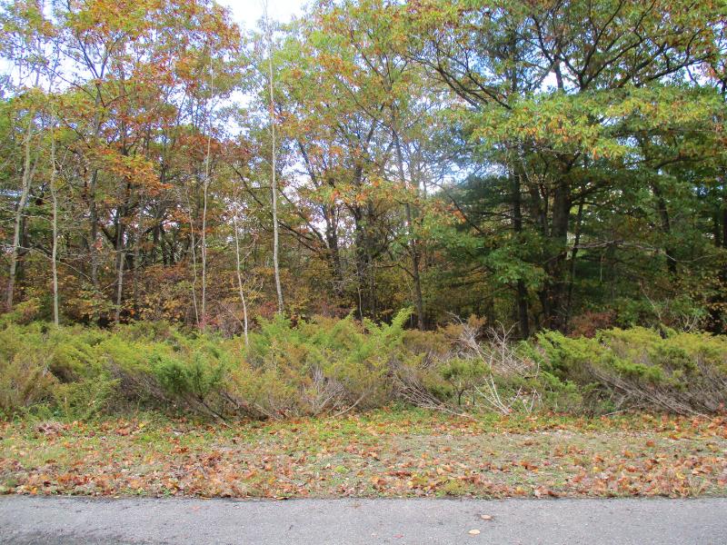 Listing Photo for Highland Pines Road LOTS 20,21,22, 55