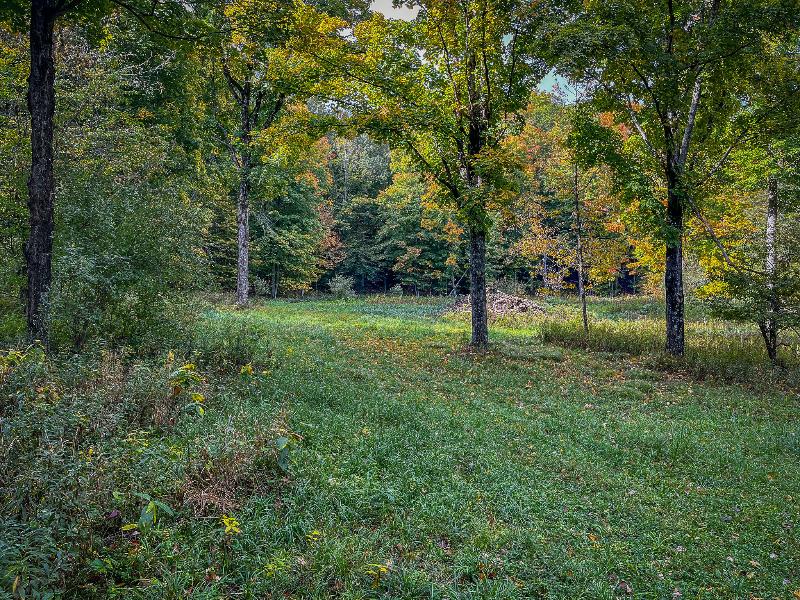 Listing Photo for 8557 N State Road 35.5 ACRES