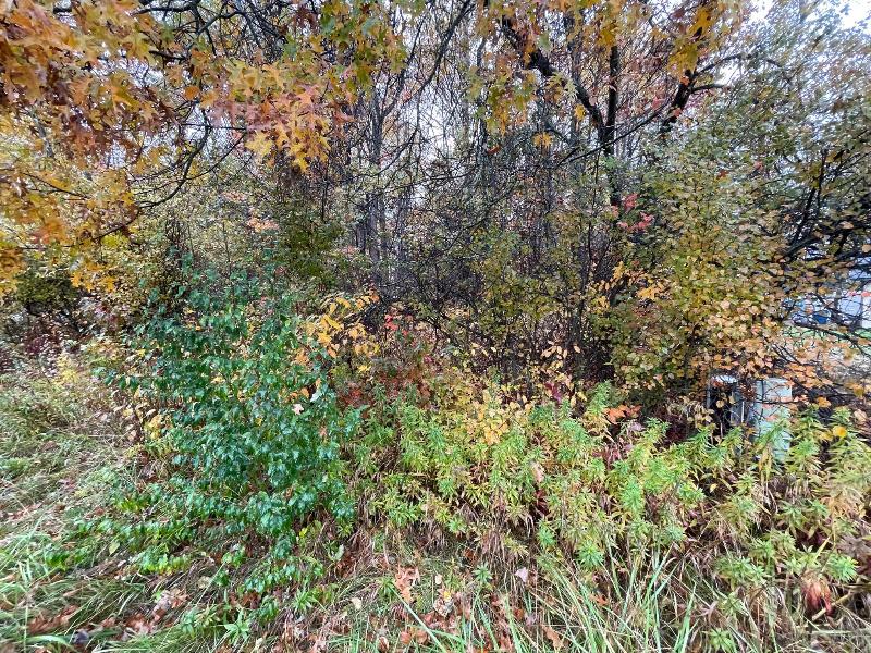 Listing Photo for LOT 150 S Tower Hill Road