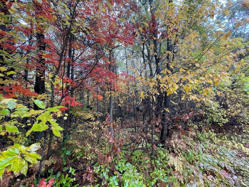 Listing Photo for LOT 757 S Tower Hill Road