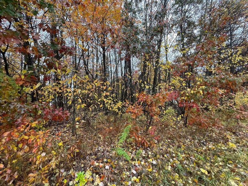 Listing Photo for LOT 733 S Tower Hill Road