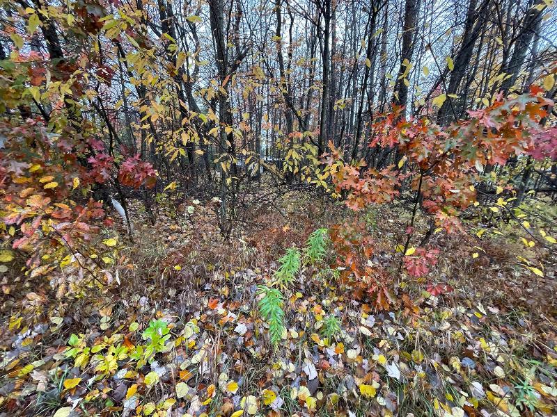 Listing Photo for LOT 733 S Tower Hill Road