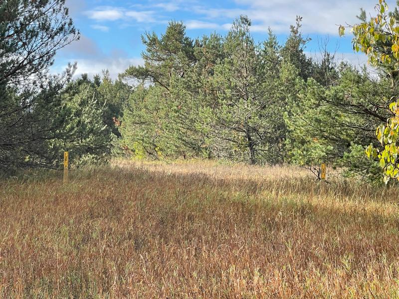 Listing Photo for W M-32 Highway 40 ACRES