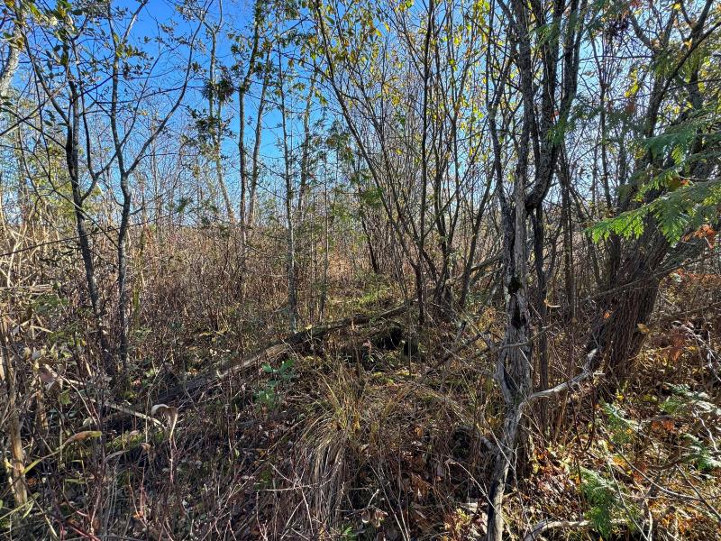 Listing Photo for LOT #27 Outer Drive +/- .36 ACRES