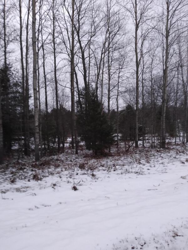 Listing Photo for Willoway Drive LOT 230
