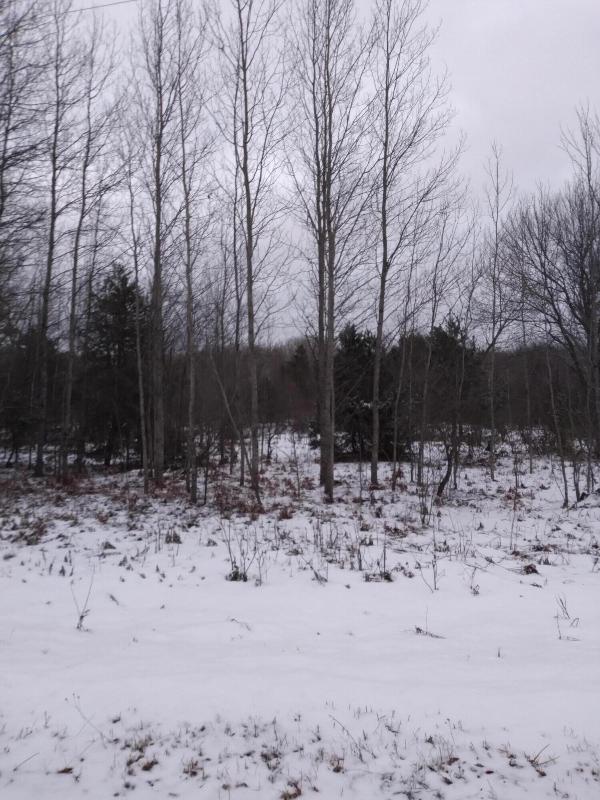 Listing Photo for Willoway Drive LOT 230
