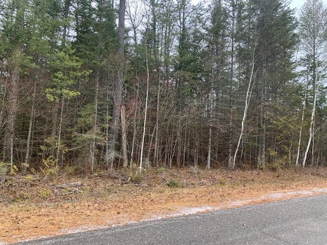 Listing Photo for LOT 84 Belfair Drive