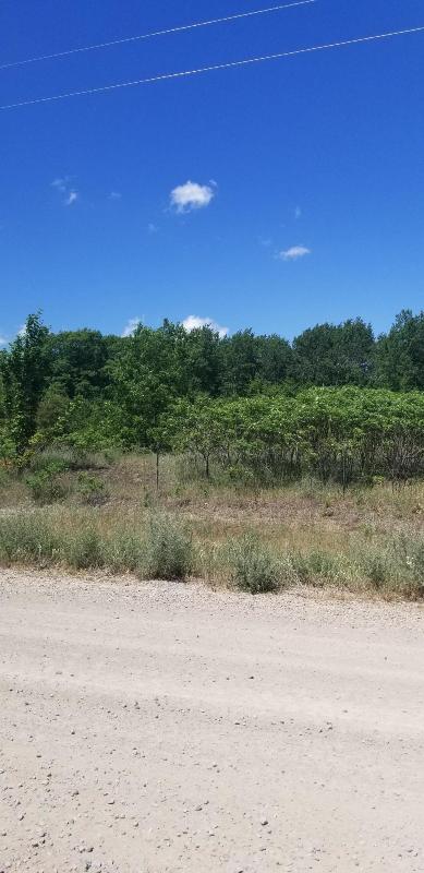 Listing Photo for Old 27 South Highway 4.62 ACRES