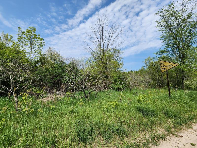 Listing Photo for PARCEL 8 Old M-32 Grade Road