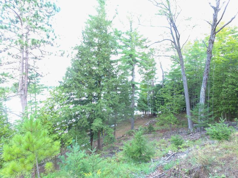 Listing Photo for LOT 43&44 W 638 Hwy/Spile Dam Road