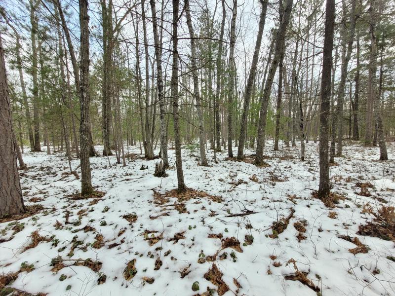 Listing Photo for Cherokee Court LOT 123