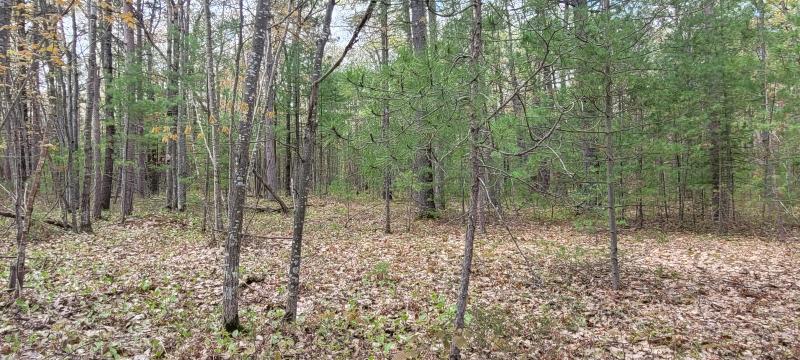 Listing Photo for Clay Banks Road LOT 167 & 168