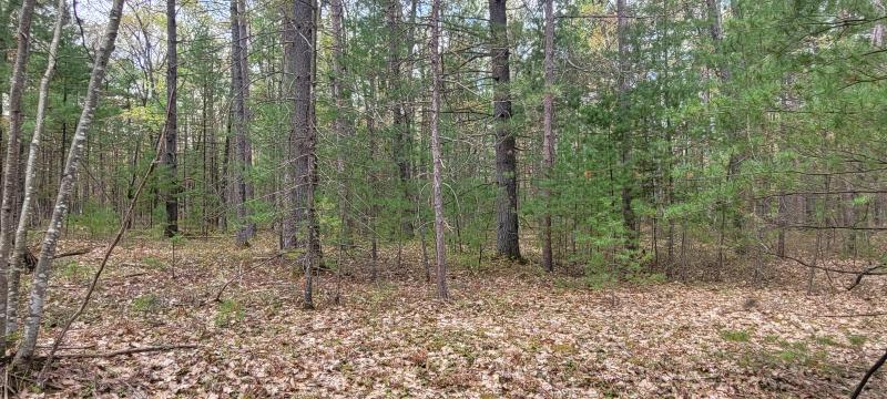 Listing Photo for Clay Banks Road LOT 167 & 168