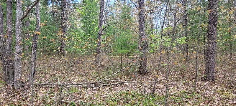 Listing Photo for Sioux Trail LOT 97