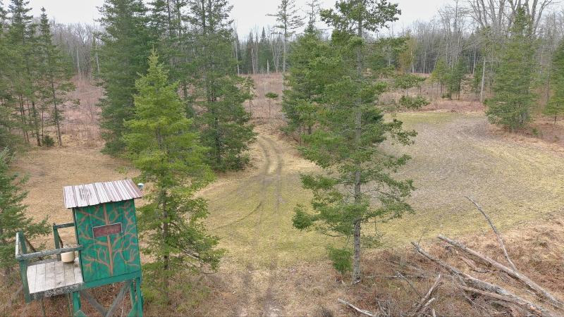 Listing Photo for 725 S Hubbard Lake Road