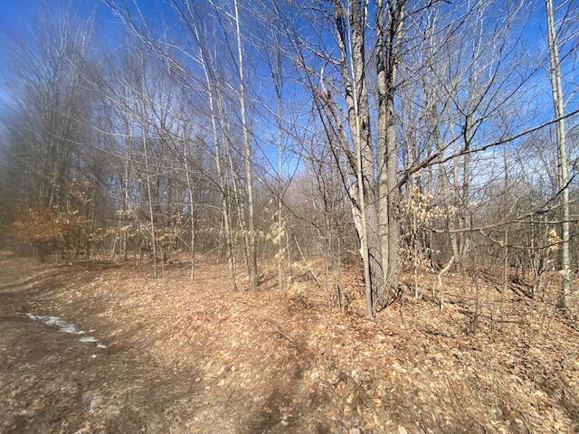 Listing Photo for LOT 97 Montrose Drive