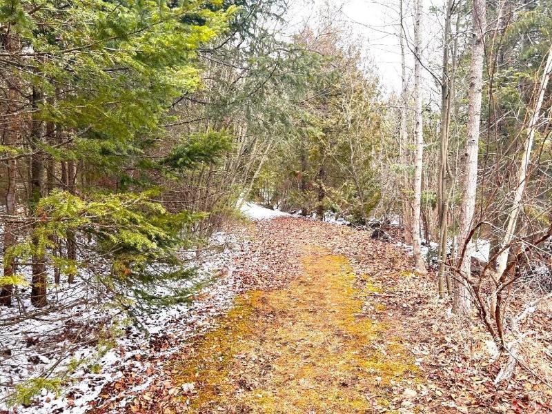 Listing Photo for 6 LOTS Off Arbutus Dr & Rutherford Rd