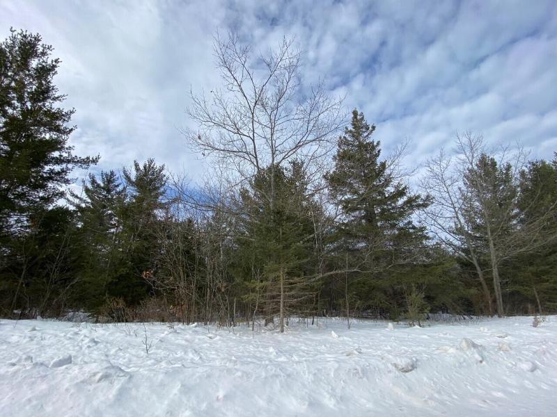 Listing Photo for LOT 163 Pineview Drive