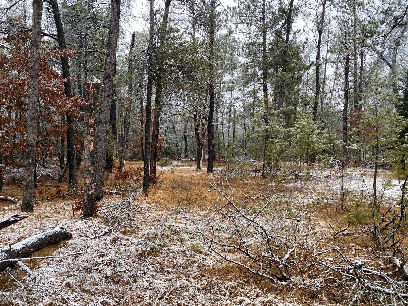 Listing Photo for 29 ACRES Van Trail