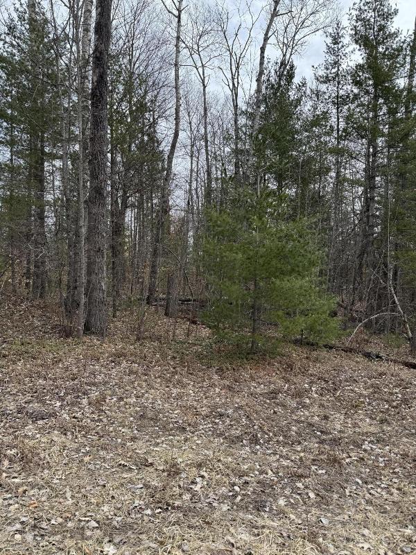 Listing Photo for 16271 Timber Line Drive LOT#100