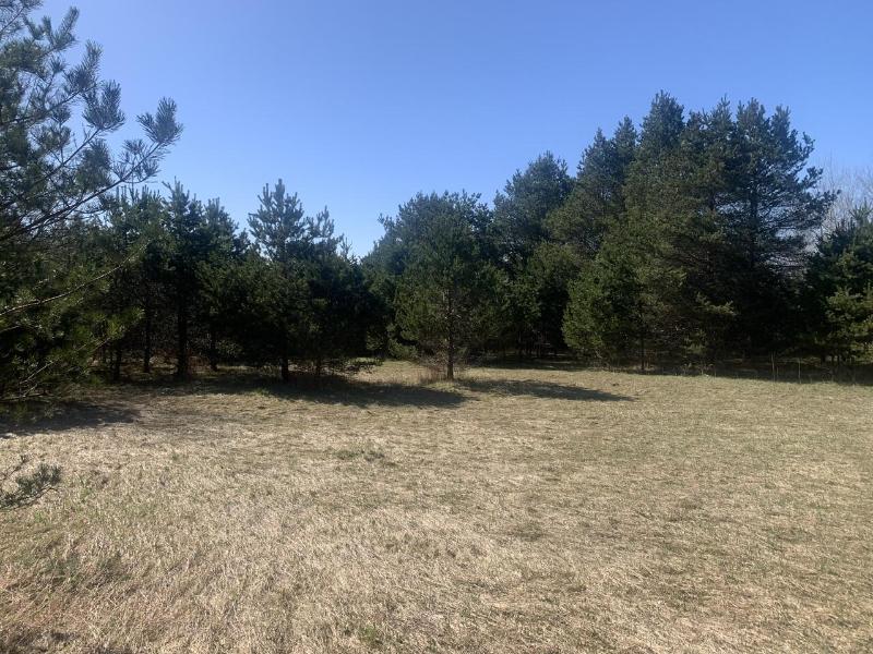 Listing Photo for N Sherman Road 20 ACRES