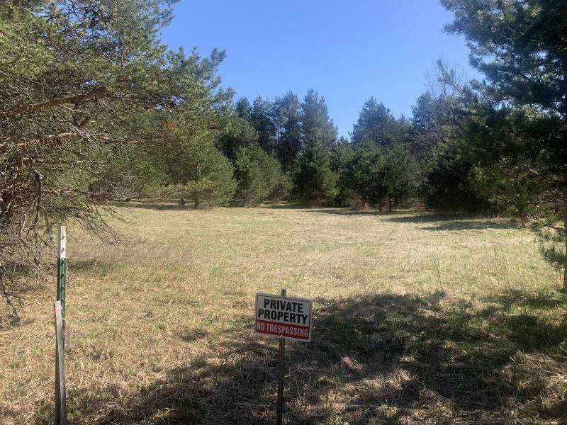Listing Photo for N Sherman Road 20 ACRES
