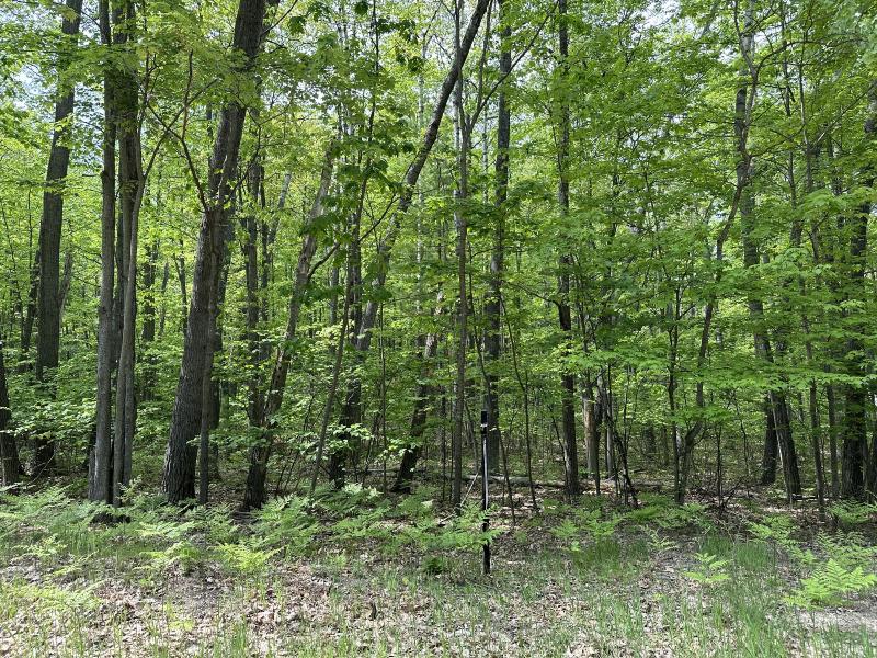 Listing Photo for Scout Drive LOTS 495 & 496