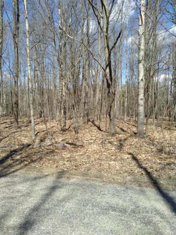 Listing Photo for LOT 69 Louise Circle